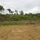 DS 태양광발전소 이미지