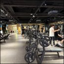 몸짱휘트니스 이미지