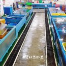 어반하우스펜트 이미지