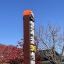 양지골쉼터식당 이미지