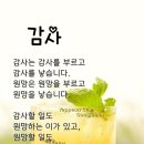 동행하는 마음이~~~이 이미지