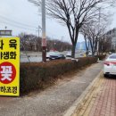 대하조경