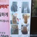 DK HAIR(디케이 헤어)