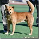 원당중학교 이미지