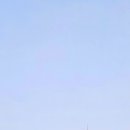 명동멀린호텔 이미지