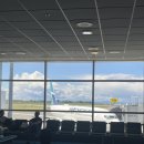 7번가피자 천호점 | 🇰🇷2024년 5월 말, 발리 가는 길에 한국 잠깐 스침