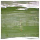 선어대낚시터 이미지