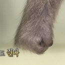 히팅뷰러 추천 받아샀는데 신세계다 이미지