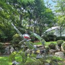 신치현 상록수 이미지