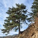 동로명전보건진료소 | 백두대간 벌재~문복대(1074m)~저수령 짧은 산행과 한산사 하산 후 동네 한바퀴