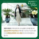 서울사이버대학교 상담심리대학원 네이버블로그