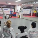 국제태권도장(태권) 네이버블로그