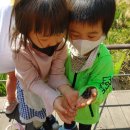 매봉산 유아숲체험원 이미지