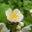 일루와농장 이미지