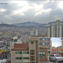삼성산터널길 Daum카페