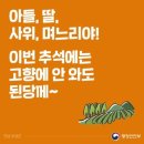 밤따러 동행해 주던 친구 생각 이미지