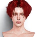 N113 이미지