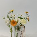 라포즈플레르