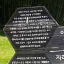 태화강 십리길 이미지