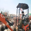 단비농장 | 실내 가볼만한곳 용인 동물체험농장 포레스트벨