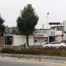 깍뚜기곰탕