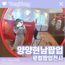[내가가본여행] 양양 현남면 로컬 팝업 전시 후기🧡 양양 7월 가볼만한곳 #마을이브랜드가될수있을까?