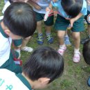 이화유치원 이미지