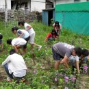 녹전초등학교 이미지