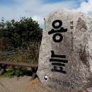 선기로1-6 이미지