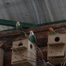 주주목장 이미지