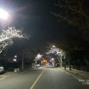 서호동-27 이미지