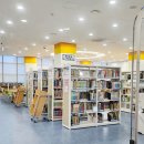 서현도서관 | 성남 서현도서관 아이와 가볼만한 곳 그리고 독서, 공부, 카페처럼 이용한 후기