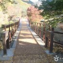 구로-구로-구로-1672 | [경상북도 청송군] 대전사