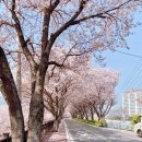 삼문강변로 이미지