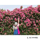 미니스톱 한강양화2점 | 양화한강공원 뿌시기 : 장미터널, 한강라면, 조각전시 관람정보