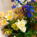 스튜디오 몰트 이미지