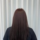 헤어리움(HAIR RIUM)
