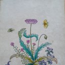 수원-0457 이미지