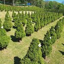 서울목장 이미지