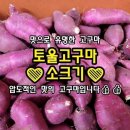 소1-29 이미지