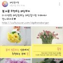 플러스웨딩결혼정보 이미지