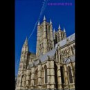 로제피부과의원 이미지