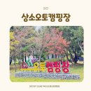 B.D.M(비디엠) | [대전 캠핑장] 대전 상소오토캠핑장 후기 │ 가족과 함께하기 좋은 대전 캠핑장 추천