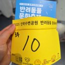 달맞이 호두네 동물병원 | 부산 강아지동반축제 광안리 민락수변공원 2025 반려동물문화축제 참가 후기