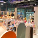 펫라운지 애견유치원 애견호텔 애견미용 이미지