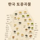곡물백과