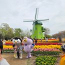 순천만 우리 | 순천만 국가정원 실시간 튤립 개화상황 순천 튤립축제 후기