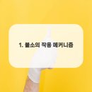 미소더예쁨치과의원 이미지