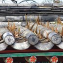 약초이야기 이미지