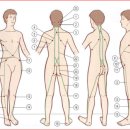 Anatomy Trains #5 나선선(Spiral Line, SPL)